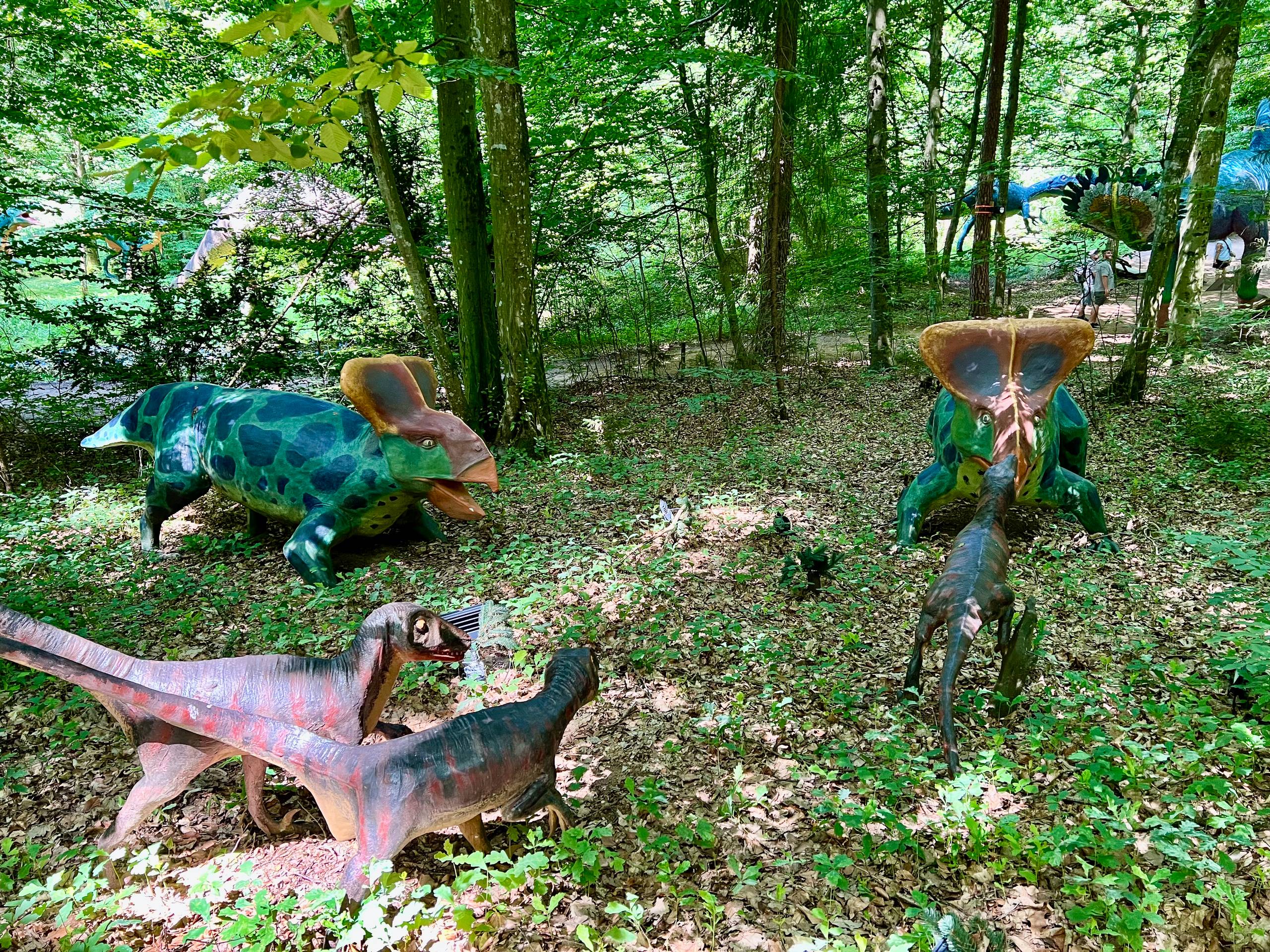 2025 Bad Gleichenberg   144